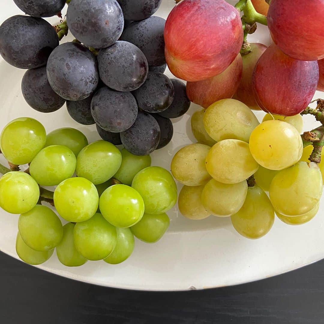 渡辺有子のインスタグラム：「大好きな人から秋のめぐみ🍇  大きくてサクサクした食感のティアーズレッド、華やかさとはかなさの黄玉、懐かしい味わいのマスカットと巨峰。 どれも嬉しくて、ありがたくおいしく頂きました🍇」