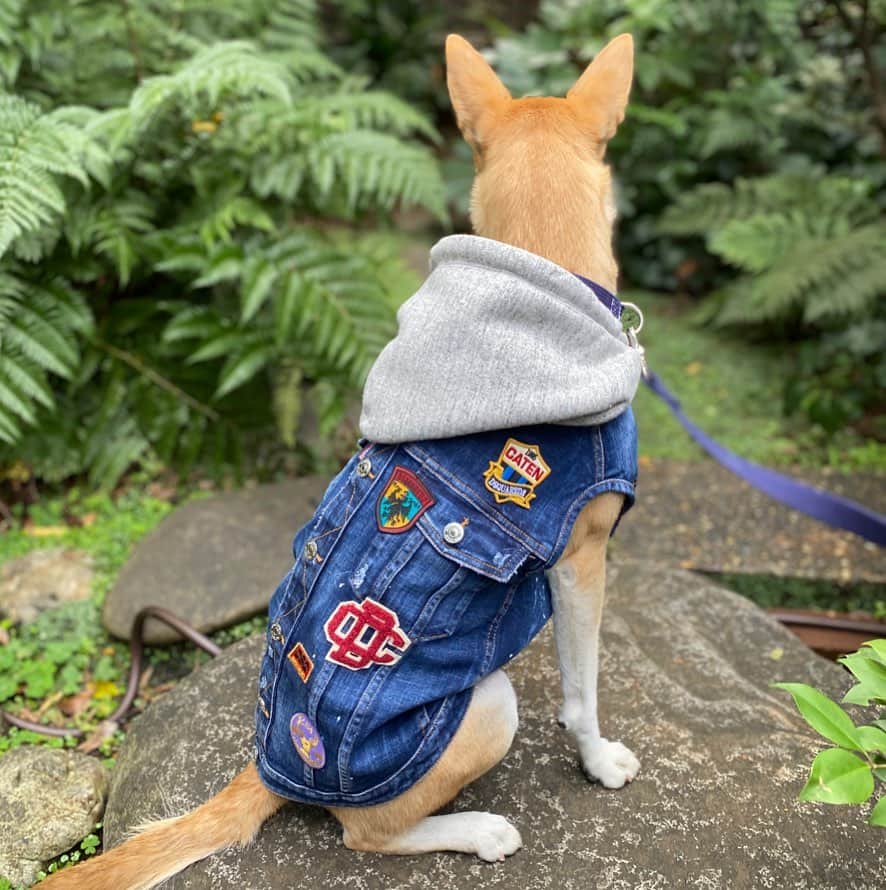 粕谷聡子のグルメインスタ