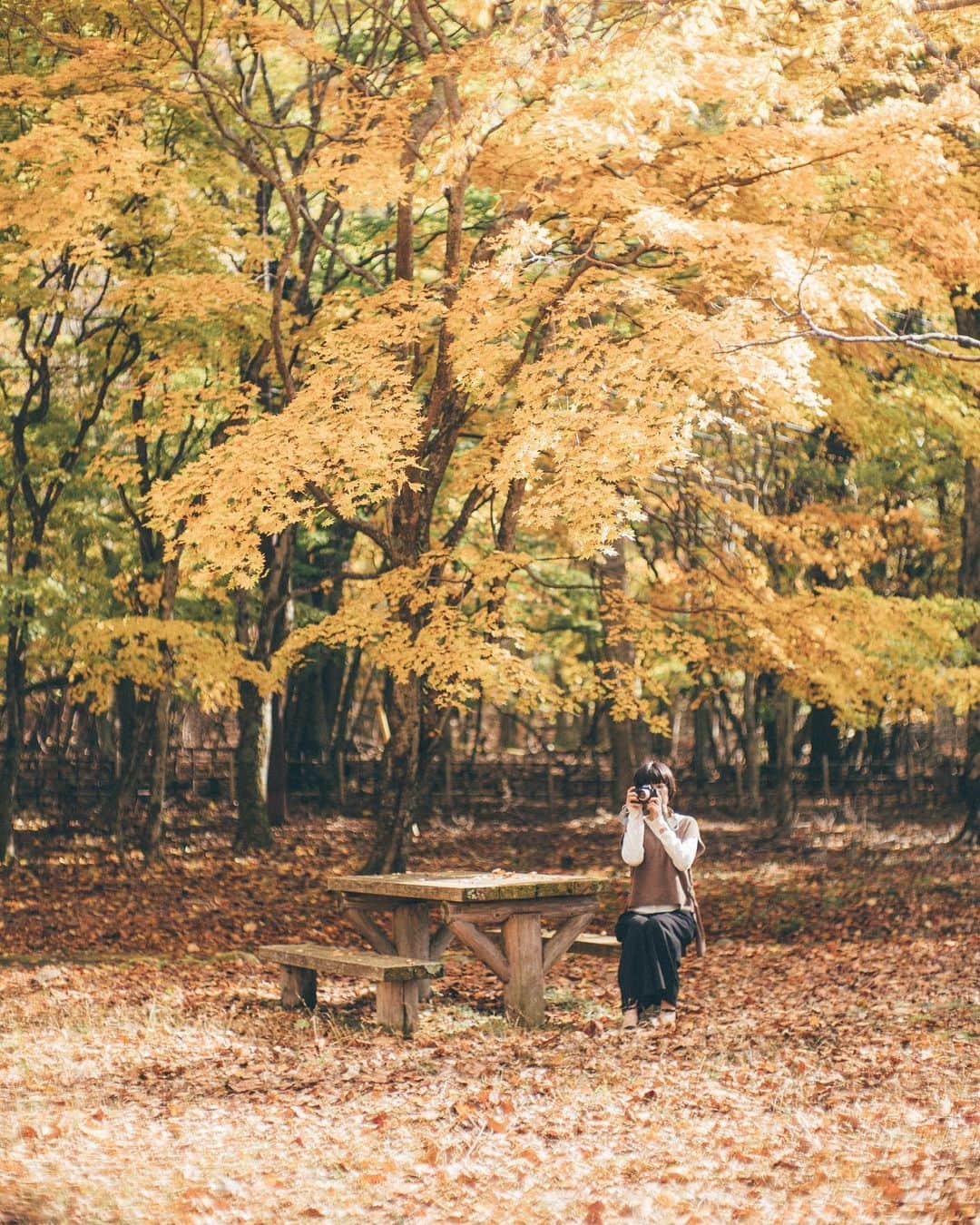 のインスタグラム：「#10thanniversary @instagram  ㅤㅤㅤㅤㅤㅤㅤㅤㅤㅤㅤㅤㅤ 今日で、Instagramのサービスが始まって10周年ですね。ぼくの写真歴も実はその10年前の２週間後からInstagramで始まりました。 ㅤㅤㅤㅤㅤㅤㅤㅤㅤㅤㅤㅤㅤ 最初の1年はスマホだけで、色々と実験しながら撮影をし、それからはフィルムカメラや、ミラーレス機にライカのオールドレンズを付けて撮影を始めていきました。 ㅤㅤㅤㅤㅤㅤㅤㅤㅤㅤㅤㅤㅤ そして写真の仲間や、多くのお仕事も頂けるようになっていくのですが、いまの僕が居るのは、このInstagramのサービスのお陰です。 ㅤㅤㅤㅤㅤㅤㅤㅤㅤㅤㅤㅤㅤ 10年前は、誰も知らないアプリでしたが、今では世界的なSNSサービスになりましたね。これからも、良いサービスを提供し続けて欲しいなって思ってます☺︎ ㅤㅤㅤㅤㅤㅤㅤㅤㅤㅤㅤㅤㅤ ㅤㅤㅤㅤㅤㅤㅤㅤㅤㅤㅤㅤㅤ #instagramjapan  #10thbirthday」