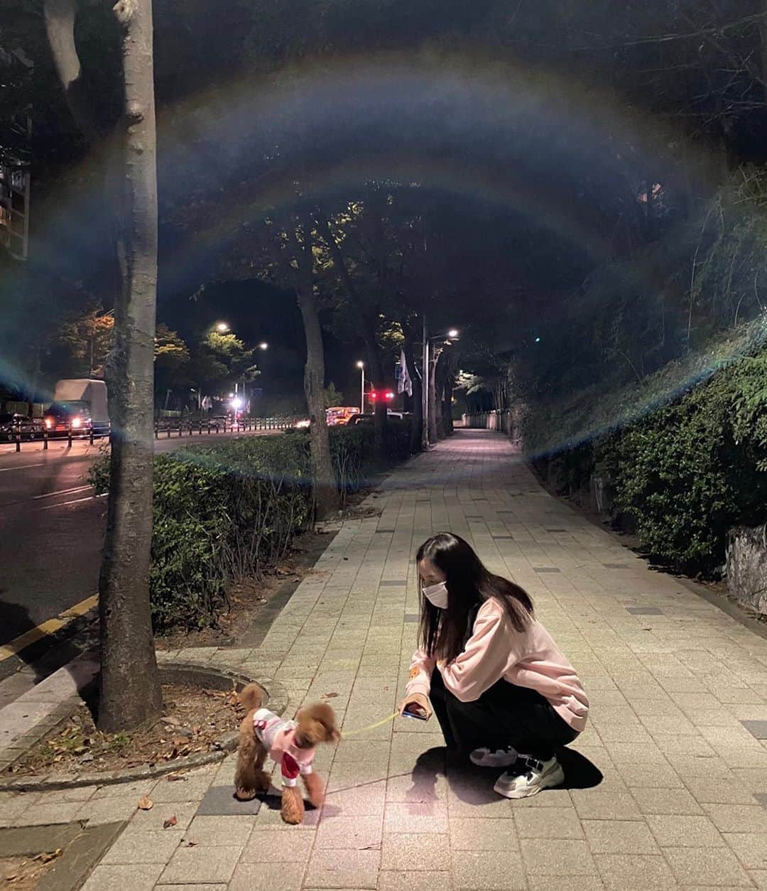 ユン・セアさんのインスタグラム写真 - (ユン・セアInstagram)「😈 축복받는기분... #야간산책 #뽀그리야🐶🐾의하루」10月6日 20時09分 - loveyoonsea
