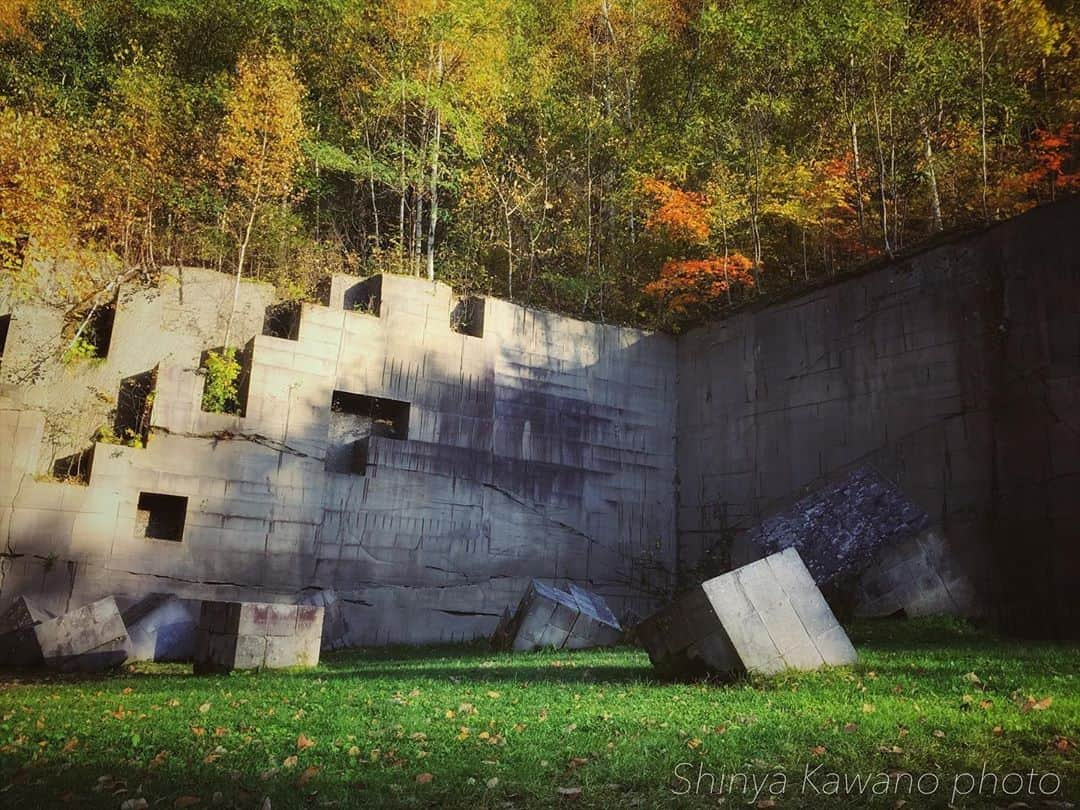 河野真也さんのインスタグラム写真 - (河野真也Instagram)「札幌軟石について書いたので、こちらを。  石山緑地という採石跡地。  ここ、すごい好きで。 かっこよくて、チカラがある。 紅葉もきれいです。  札幌に旅行で来られた方にも、ぜひ行ってもらいたいところです( ＾∀＾)  この写真は、２年前の10月に、イチオシ‼︎のしあわせ散歩で行った時のもの( ＾∀＾)  #北海道愛がとまらない #絶景 #札幌軟石 #札幌 #札幌市南区 #石山緑地 #10月 #紅葉 #写真 #北海道 #イチオシ‼︎ #しあわせ散歩」10月6日 15時36分 - okurahoma_kawano