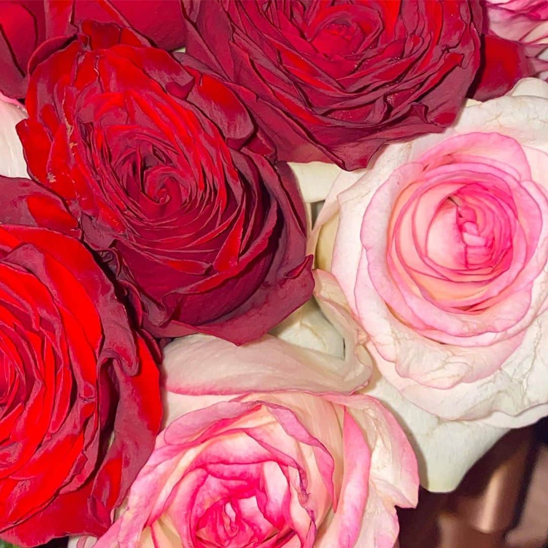 八千恵(やっちん)さんのインスタグラム写真 - (八千恵(やっちん)Instagram)「. 🥀🥀 . . #rose #薔薇 #白バラ #赤バラ」10月6日 15時39分 - ya____ch