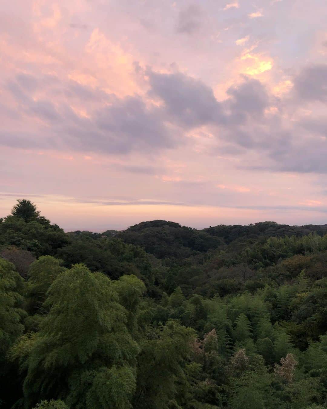山下莉奈さんのインスタグラム写真 - (山下莉奈Instagram)「夕焼けが綺麗な山の上のカフェ☕️﻿ ﻿ 鳥のさえずりと高台からの景色はすごい癒されました❣️（トンビと鷹には注意🦅）﻿ ﻿ また行きたい💓  #鎌倉　#鎌倉山　#ルミリュウ　#カフェ」10月6日 16時52分 - rinayamashita