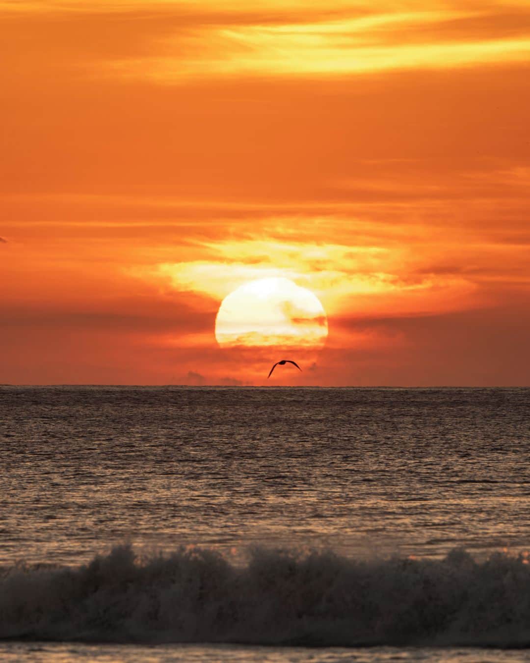 九州電力さんのインスタグラム写真 - (九州電力Instagram)「海辺でゆったりと癒やしの時間を🌅⁣ .⁣ 早起きして海岸から朝日を眺めると、なんだか心が洗われるような気がします😳⁣ ちなみに、この海岸はアカウミガメの産卵地なんだとか🐢⁣ .⁣ 📍長浜海岸（宮崎県）⁣ 🚃JR南延岡駅から車で約9分⁣ .⁣ 【こちらはキャンペーン対象の投稿です】 フォロー&いいね！で当たるプレゼントキャンペーン実施中✨ アカウントをフォローの上、キャンペーン対象の投稿に「いいね！」で応募完了♬ 抽選で77名様に豪華プレゼント🎁が当たります！ 詳しくは、プロフィールのURLからご確認ください。⁣ .⁣ ※写真は過去に撮影されたものです。⁣ 気兼ねなくお出かけできる日が来るまで、お届けする九州の風景が、皆さまの元気や癒しになれば幸いです🍀⁣ 九電グループでは、「あしたプロジェクト～あしたを、しんじて、たすけあおう～」を展開しています。詳しくは、HPをご覧ください✨⁣ .⁣ ⁣#九電 #kyuden #九州の灯り #九州ぐらむ #広がり同盟 #九州旅行 #九州 #九州愛 #kyushu #宮崎 #miyazaki #みやざき #延岡市 #長浜海岸 #海岸線 #海が好き#海と空 #朝日 #朝陽 #朝空 #朝焼け空 #朝焼けの空 #朝散歩 #景色最高 #絶景 #絶景スポット #日本の絶景 #絶景delic #tripgramjp #あしたプロジェクト」10月6日 17時01分 - kyuden_official
