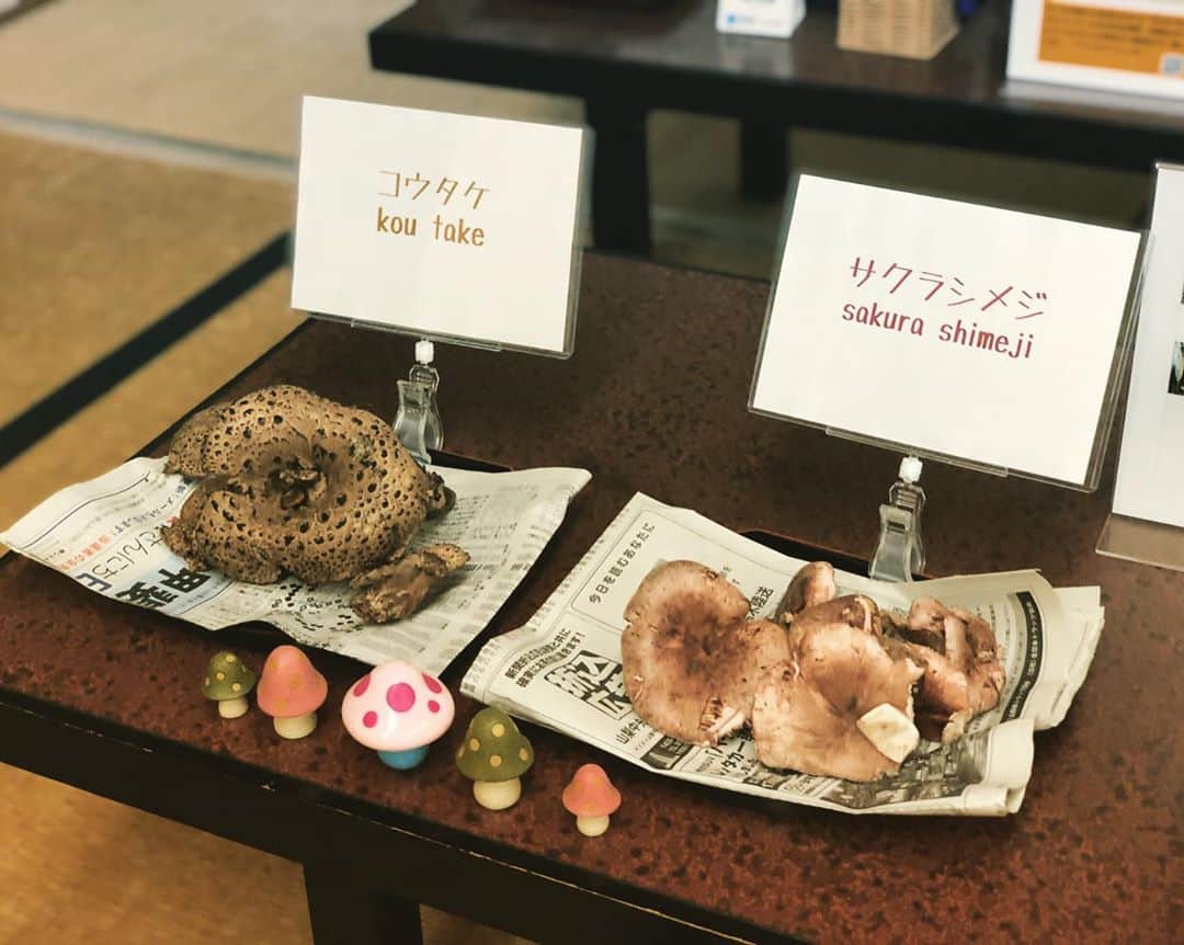 のインスタグラム：「<小菅の秋>﻿ ﻿ 小菅村は秋真っ最中。﻿ 何やら美味しそうなものが。﻿ ﻿ これからランチが楽しみです。  #faryeastbrewing #faryeast #fyb #beer #beerpics #beerlover #beerstagram #beertography #craftbeerlife #beergeek #beerblog #craftbeergeek #ilovebeer #beerhunter #hophead #beertime #cheers #craftbeer #craftbeerlife #ビール #ビアハンター #ビアスタグラム #地ビール #クラフトビール好き #ビール好き #ビアスタグラマー #ビール愛好家 #ビール部 #クラフトビール」