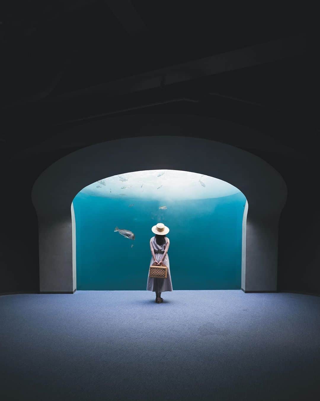 RiLiさんのインスタグラム写真 - (RiLiInstagram)「美術館気分も味わえるっ🐬🖼️【四国水族館】🐠〜⁣ ......⁣ 四国最大級の水族館として、2020年6月に香川県・宇多津町にオープンした【四国水族館】🐠展示や建物に趣向を凝らした、まるで美術館のような水族館だよ🖼️⁣ お魚はもちろん、イルカやペンギン、カワウソなど、かわいい生き物にたくさん会えるよ🐧全国の水族館では初となるAIによる解説システムを導入されていたり…、最新技術が施された水族館は気になるところばかりっ💡⁣ お昼と夜でまた違った楽しみ方ができるので、夕方からのデートもおすすめみたい🐬夕日をバッグにしたイルカショーも見どころだよ〜🤭🧡⁣ .⁣ .⁣ ※注意※⁣⁣ 外出の際はマスクの着用、人との距離を保つなどの感染対策を心がけ⁣帰宅時はしっかり手洗い・うがいを行いましょう！⁣⁣ またご紹介した店舗の営業時間等が⁣変更されている場合がございます。ご注意ください。⁣⁣ ❣❣❣❣❣⁣ サイトやSNSで掲載させていただくお写真募集中😘📸⁣ かわいいコーデやアイテム、注目スポットなどが撮れたら、ハッシュタグ→#rili_tokyo  を付けて投稿❗⁣ ．⁣ Special Thanks💋 Photo by⁣ @omochi_mochicco⁣ @raurim___⁣ @m_____5srh⁣ @megu.03_03⁣ @0ryy0⁣ @chiiiii__gram⁣ @jin__0807__⁣ @shiiihho⁣ @naokky_826⁣ ．⁣ #四国水族館#香川観光#宇多津町#美術館巡り#デートスポット#水族館#イルカショー #RiLi  #おしゃれさんと繋がりたい #お洒落さんと繋がりたい #ファッション #패션스타그램 #ootd #outfit」10月6日 18時01分 - rili.tokyo