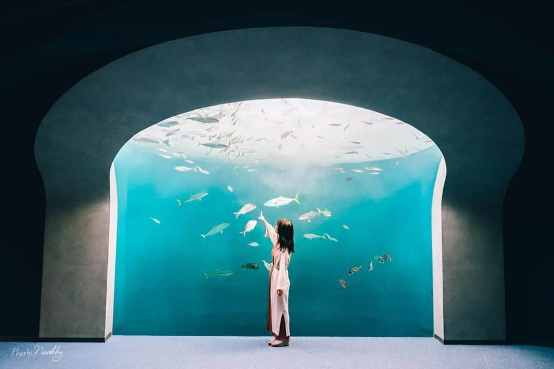 RiLiさんのインスタグラム写真 - (RiLiInstagram)「美術館気分も味わえるっ🐬🖼️【四国水族館】🐠〜⁣ ......⁣ 四国最大級の水族館として、2020年6月に香川県・宇多津町にオープンした【四国水族館】🐠展示や建物に趣向を凝らした、まるで美術館のような水族館だよ🖼️⁣ お魚はもちろん、イルカやペンギン、カワウソなど、かわいい生き物にたくさん会えるよ🐧全国の水族館では初となるAIによる解説システムを導入されていたり…、最新技術が施された水族館は気になるところばかりっ💡⁣ お昼と夜でまた違った楽しみ方ができるので、夕方からのデートもおすすめみたい🐬夕日をバッグにしたイルカショーも見どころだよ〜🤭🧡⁣ .⁣ .⁣ ※注意※⁣⁣ 外出の際はマスクの着用、人との距離を保つなどの感染対策を心がけ⁣帰宅時はしっかり手洗い・うがいを行いましょう！⁣⁣ またご紹介した店舗の営業時間等が⁣変更されている場合がございます。ご注意ください。⁣⁣ ❣❣❣❣❣⁣ サイトやSNSで掲載させていただくお写真募集中😘📸⁣ かわいいコーデやアイテム、注目スポットなどが撮れたら、ハッシュタグ→#rili_tokyo  を付けて投稿❗⁣ ．⁣ Special Thanks💋 Photo by⁣ @omochi_mochicco⁣ @raurim___⁣ @m_____5srh⁣ @megu.03_03⁣ @0ryy0⁣ @chiiiii__gram⁣ @jin__0807__⁣ @shiiihho⁣ @naokky_826⁣ ．⁣ #四国水族館#香川観光#宇多津町#美術館巡り#デートスポット#水族館#イルカショー #RiLi  #おしゃれさんと繋がりたい #お洒落さんと繋がりたい #ファッション #패션스타그램 #ootd #outfit」10月6日 18時01分 - rili.tokyo