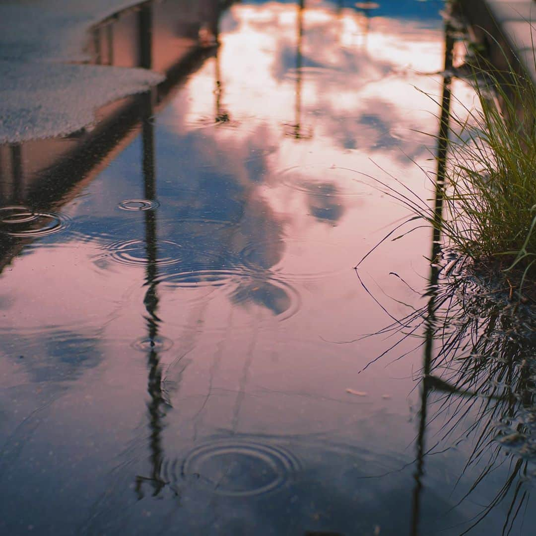 国分真央さんのインスタグラム写真 - (国分真央Instagram)「.﻿ 雨上がりを歩く﻿ ﻿」10月6日 18時13分 - mao_kokubu