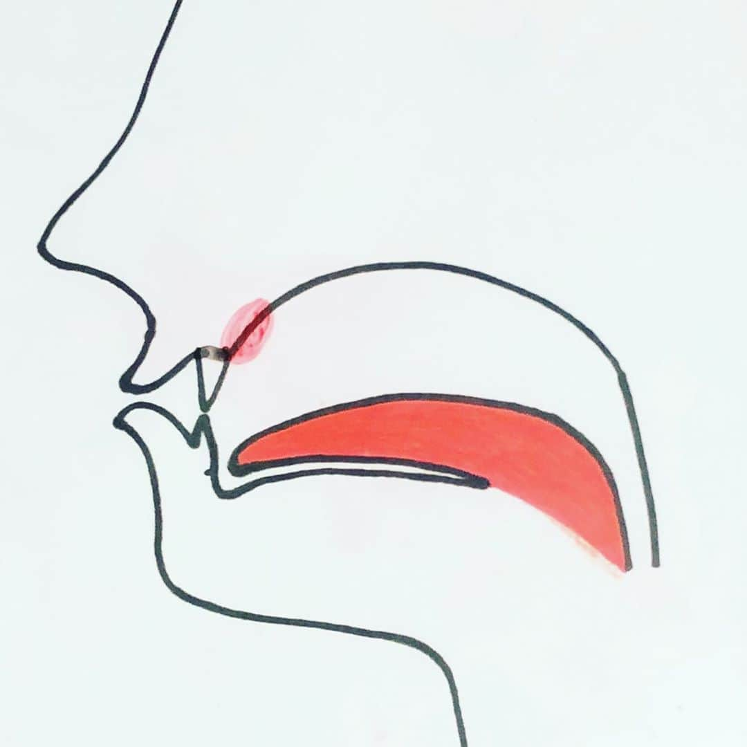 藤田琢己さんのインスタグラム写真 - (藤田琢己Instagram)「「タ行」は前歯の裏の付け根ちょい上に舌先を当てて、そこの部分に向けて息をぶつけていく感じ。  #ボイトレ #ボイトレレッスン #滑舌 #滑舌トレーニング #こういうのを毎週レッスンでやってます #プロフィール欄からどうぞ」9月22日 9時51分 - takumifujita1