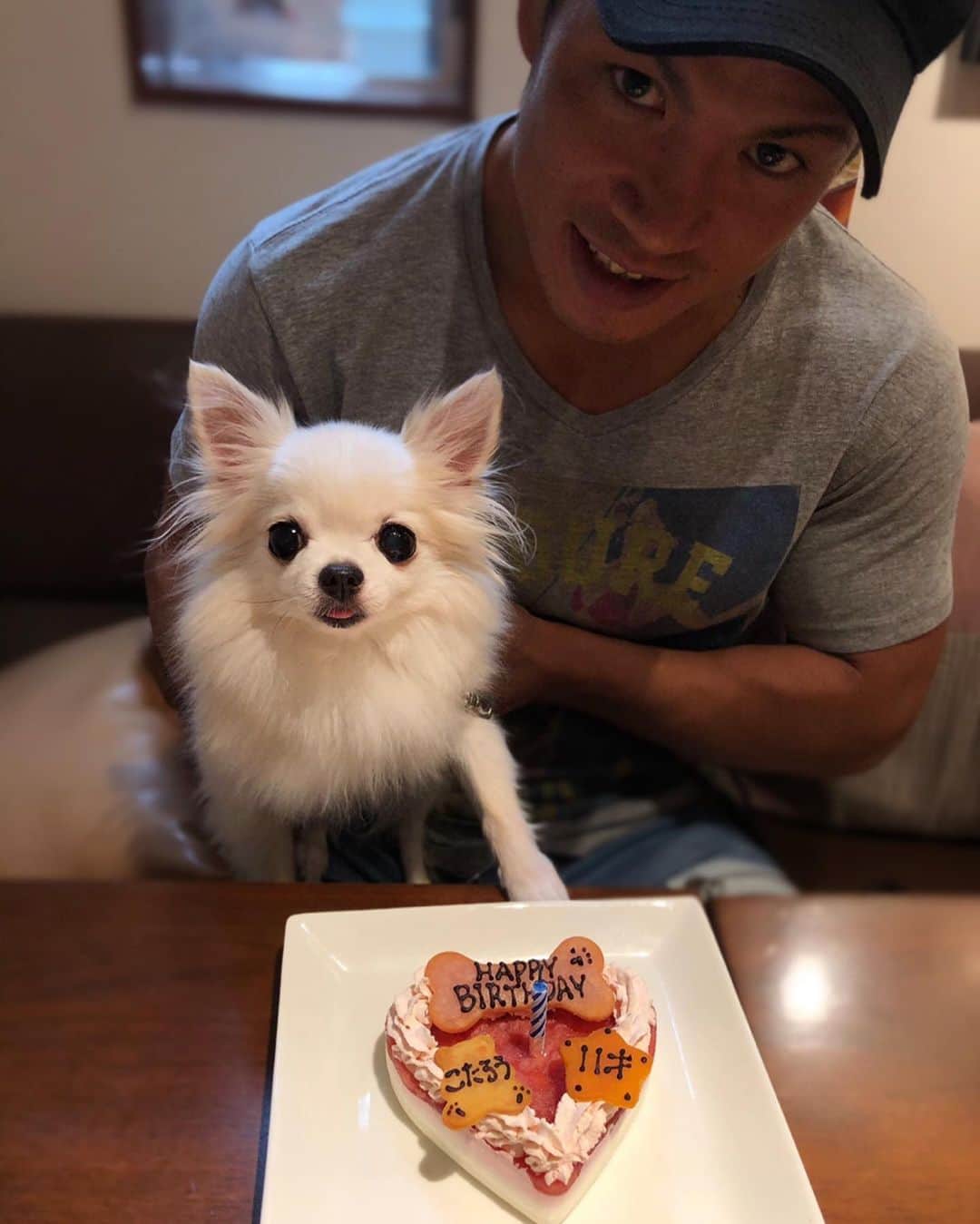 のインスタグラム：「11th Birthday🎂🐶」