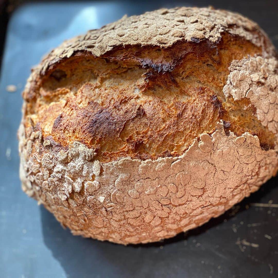 魔女菅原のグルメインスタ