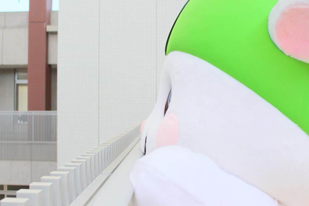 ふっかちゃんさんのインスタグラム写真 - (ふっかちゃんInstagram)「秋の空を観察ちぅ♪Y(o0ω0o)Y  台風が近づいてきているところは早めの備えをだよぉ！Y(o˘ω˘o)Y  #ふっかちゃん #fukkachan #埼玉県深谷市 #深谷市 #深谷 #fukaya #イメージキャラクター #ゆるキャラ #深谷ねぎ #渋沢栄一 #新一万円札 #大河ドラマ #連休最終日 #何して過ごすかな #のんびりもいいよねぇ #最近 #秋を感じる今日この頃 #朝はひんやりさむゆい #風邪引かないでねぇ」9月22日 10時18分 - fukkachan628