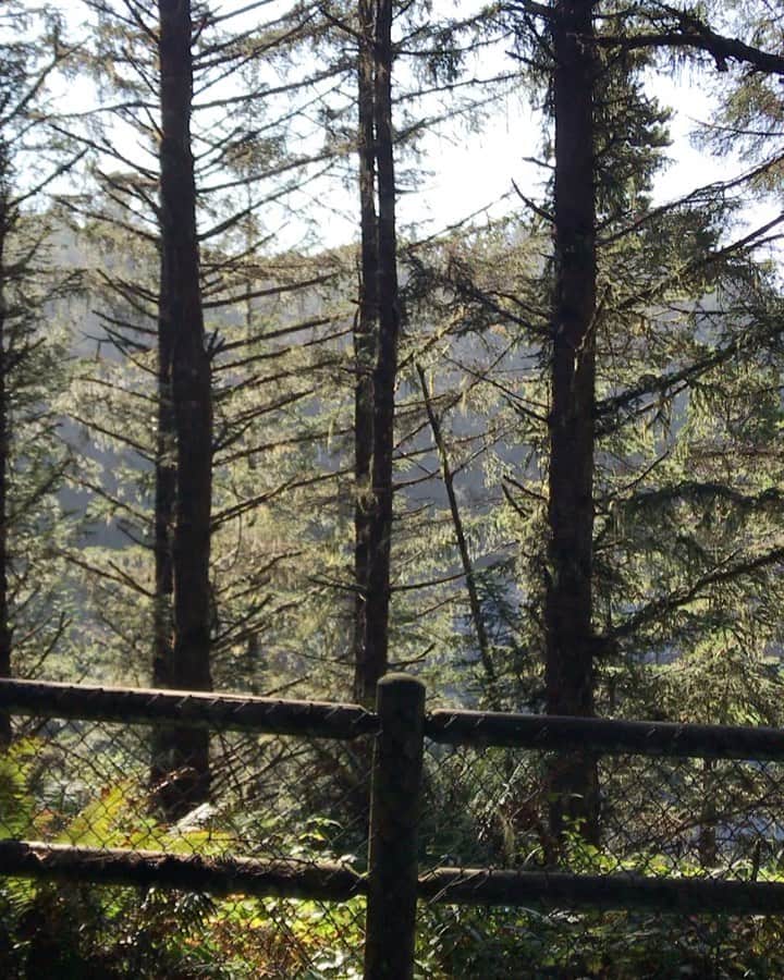 コリン・ハンクスのインスタグラム：「Oregon is Magic.」