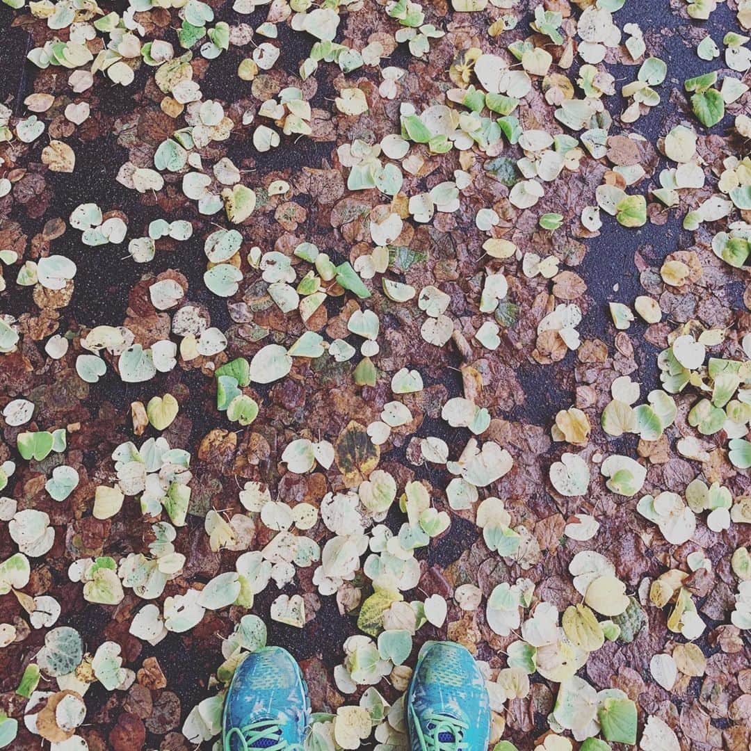 プリシラ・アーンのインスタグラム：「Fall is here!」