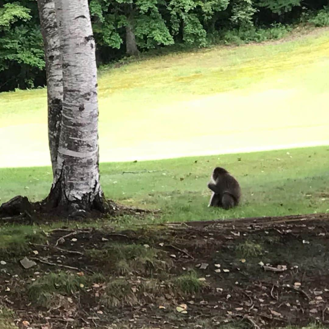 濱田将充さんのインスタグラム写真 - (濱田将充Instagram)「🐵」9月22日 4時58分 - masamichihamada