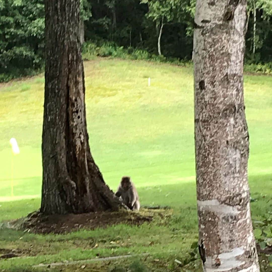 濱田将充さんのインスタグラム写真 - (濱田将充Instagram)「🐵」9月22日 4時58分 - masamichihamada