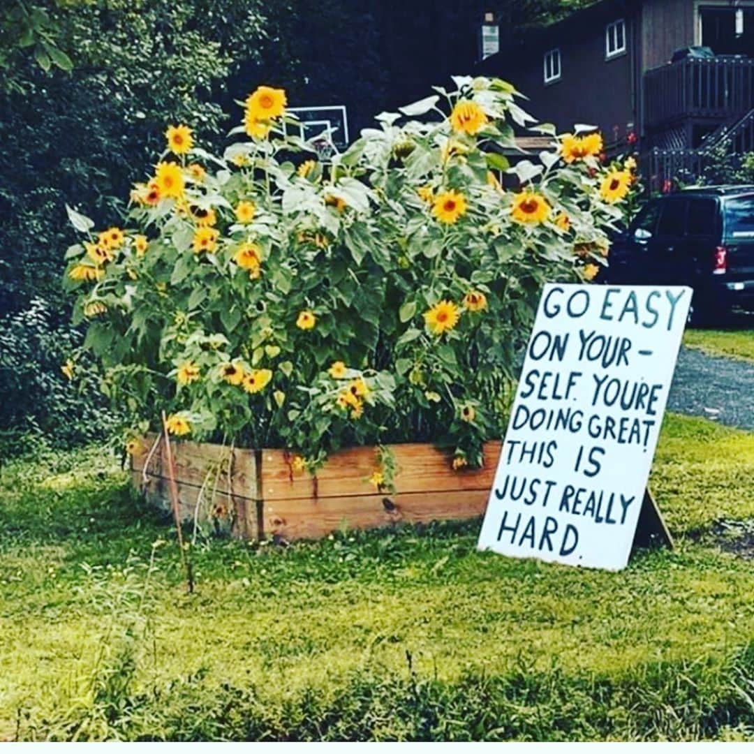 コンスタンス・ジマーのインスタグラム：「YOU ARE DOING A GREAT JOB!  Thank you for posting this @allthingsgoodco, we all need to be reminded... #mondaymotivation」