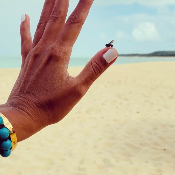Mariana Riosのインスタグラム：「Penso que deveríamos levar a vida assim como as abelhas. Sem saber da impossibilidade de seu voo, já que suas asas tem um tamanho menor que seu corpo, elas simplesmente voam! E fazem mais que isso: produzem o delicioso mel. Se pensássemos na frase do poeta Jean Cocteau que diz “não sabendo que era impossível, foi lá e fez”, quem sabe a possibilidade para todo e qualquer sonho fosse certa? Espero poder viver assim. Como as abelhas. Sem pensar no que é possível ou impossível. Apenas voar o vento de cada dia e sentir nos lábios o doce gosto do mel. Mariana Rios  🐝 💙」
