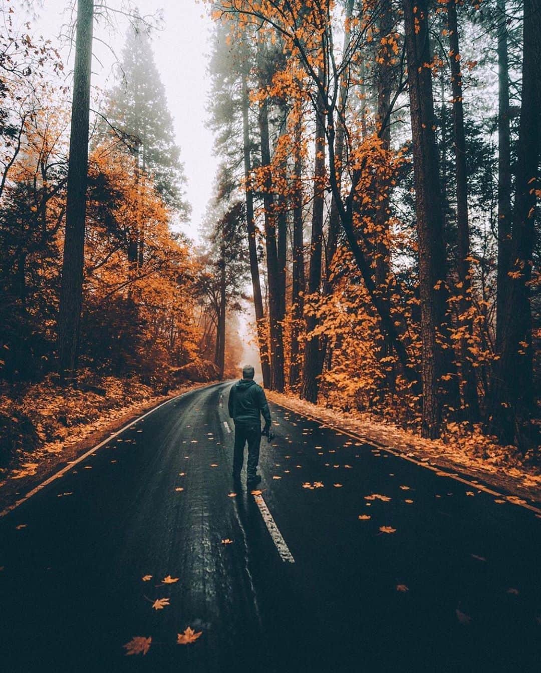 FOLKのインスタグラム：「Which is your favorite today? 1.) @jude_allen 2.) @kuhrmarvin 3.) @jacobnordin 4.) @archiefrink 5.) @windypeakvintage 6.) @muqu_j」