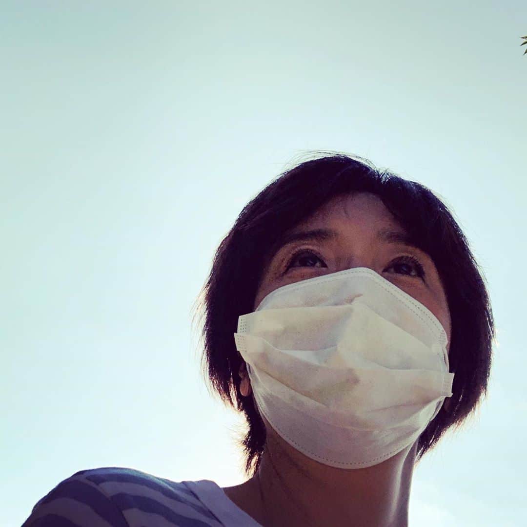 藤田朋子さんのインスタグラム写真 - (藤田朋子Instagram)「#墓参り #敬老の日 #お彼岸 #揺れる葉」9月22日 7時43分 - chiendormant