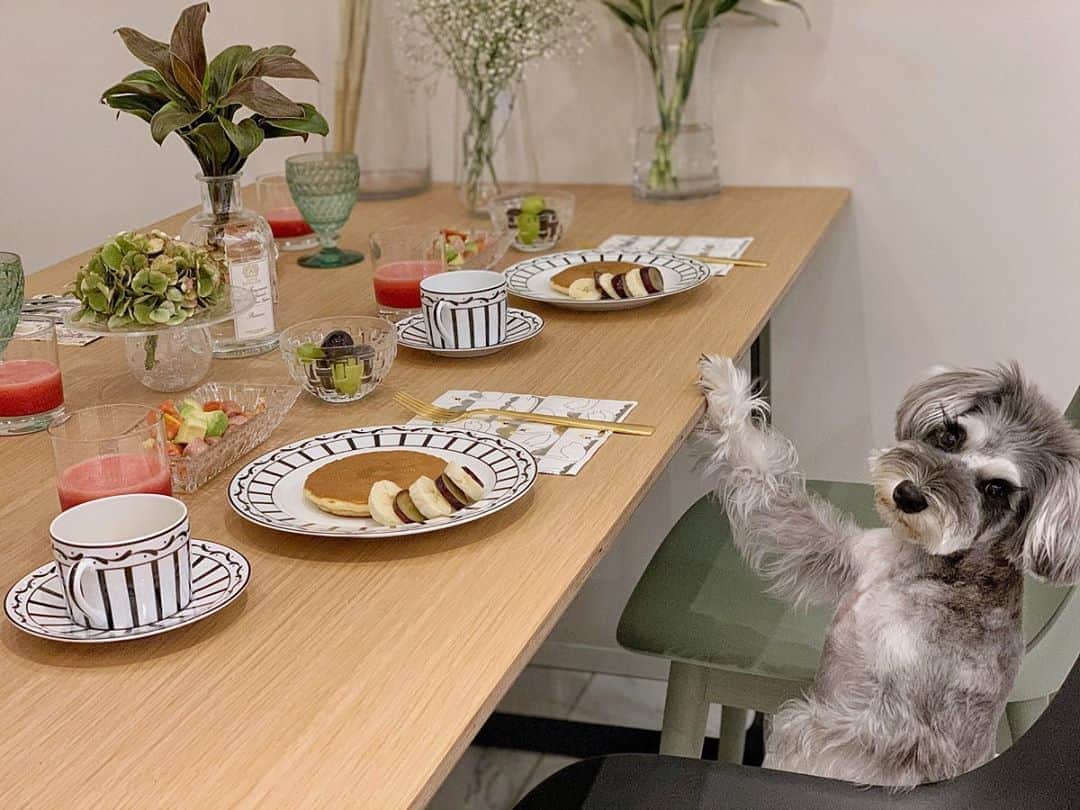 のインスタグラム：「ㅤㅤㅤㅤㅤㅤㅤㅤㅤㅤㅤㅤㅤ 朝ごはん食べて🥞🥣🥑🍅🍌🍇🍉 まったり😌」