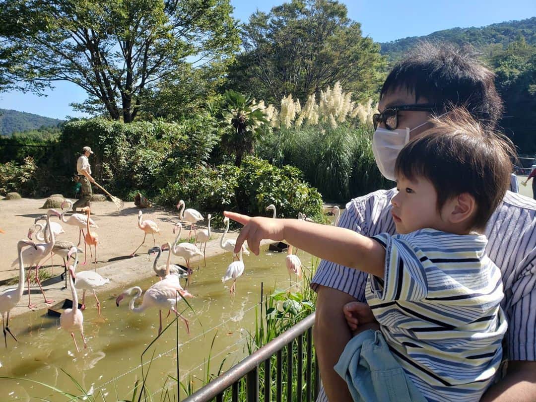 堀田奈津水のインスタグラム：「年パス買ってから2度目の動物園🦩  #年パスの意味ない😂 #あと一回は行きたい #でも行くとすごく疲れる😂 #息子は楽しんでた #と思う #涼しい時期がいいよね #まだ暑かった」