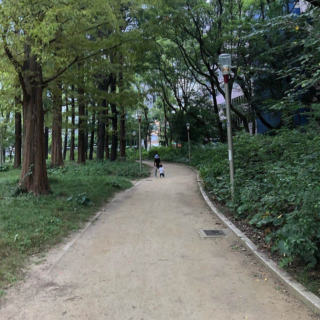 のインスタグラム：「この公園の道は良く通る道🌲 ふと、ついこの間まで まだ歩けない千ちゃんを抱いて3人でじゃないと歩けなかったのに 気が付けば2人で歩けてる、、🥺と 2人の背中見て成長感じて センチメンタルママでした🍂 本当あっという間🥺 . . #兄弟」