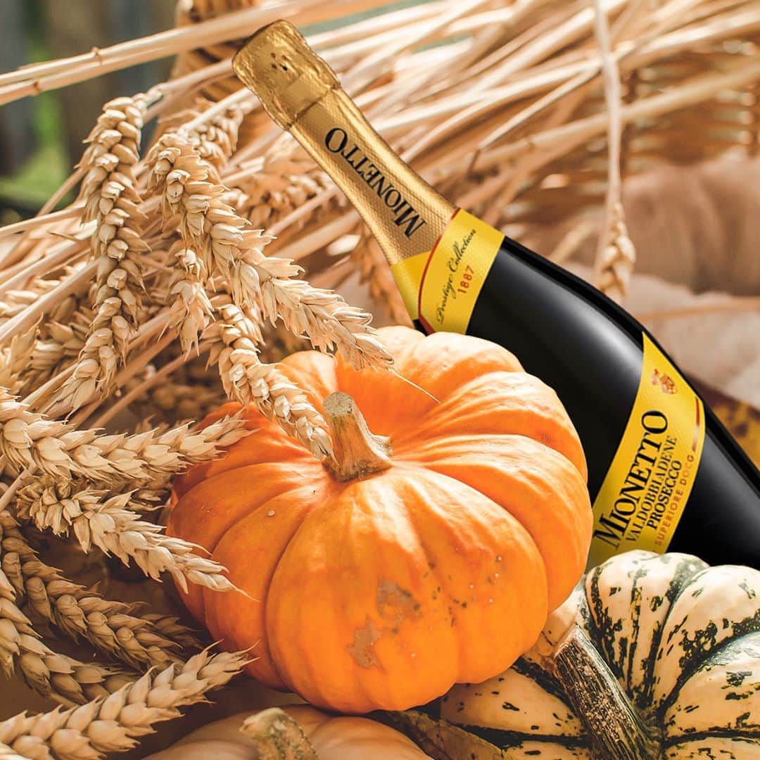 Mionetto Proseccoのインスタグラム：「ll fascino dell’autunno in tutti i suoi colori!🧡⁣ #mionettoprosecco #mionettoinsieme #primogiornodautunno #Autunno2020⁣ Bevi Mionetto responsabilmente」