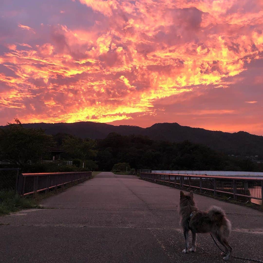 Naomiのインスタグラム：「Today’s walking」