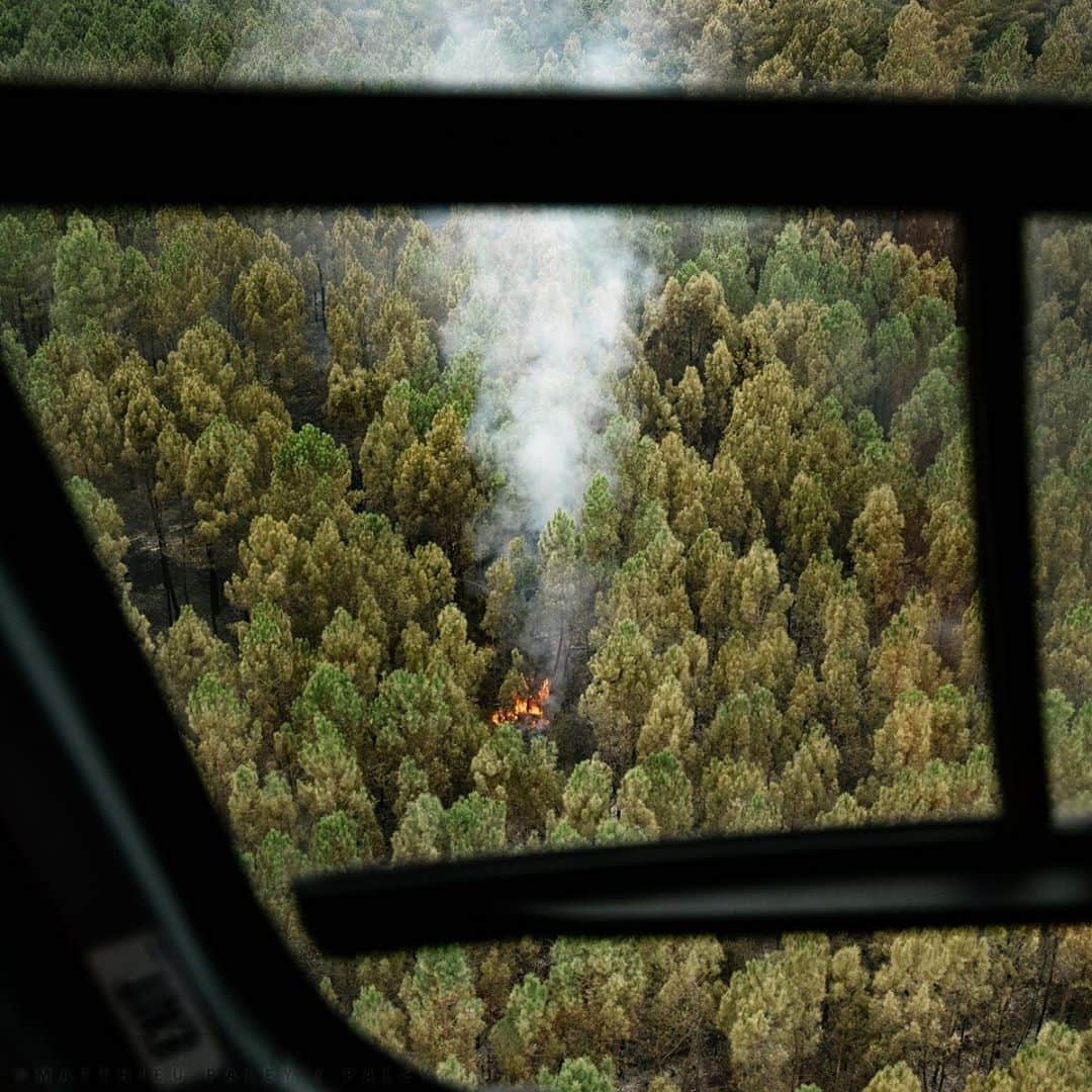 National Geographic Creativeさんのインスタグラム写真 - (National Geographic CreativeInstagram)「Photo by Matthieu Paley @paleyphoto I The first few minutes of a forest fires are extremely crucial! Following a phone call from local resident smelling smoke, the emergency helicopter of the Fire and Rescue Service in Bordeaux, France, does a fly over to survey the extent of a nascent fire. Via radio, fire specialists in the helicopter instruct firefighting teams on the ground and in the air on how to best intervene to control the fire. This is part of an ongoing global story for National Geographic magazine on the issue of air pollution. For more on environmental issues worldwide, follow @paleyphoto #forestfire #firefighters #airpollution」9月22日 19時50分 - natgeointhefield