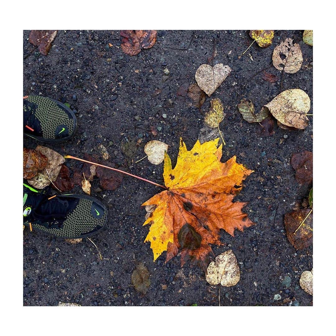 シャンテル・ヴァンサンテンのインスタグラム：「I fall for you everytime... 🍁 🍂 #Canada」