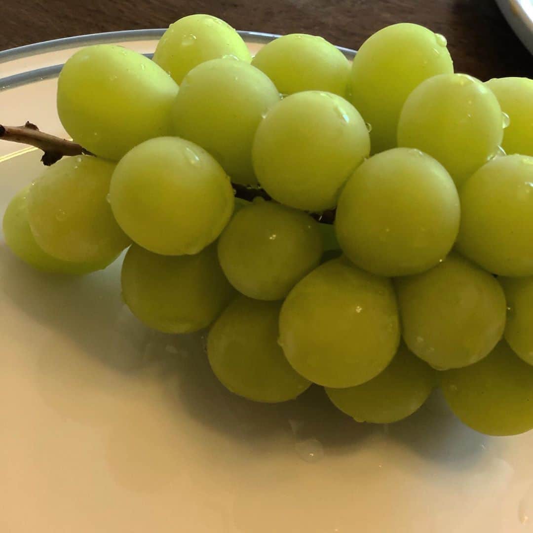 のインスタグラム：「good morning🌞💚 あっという間に連休最終日🥺」