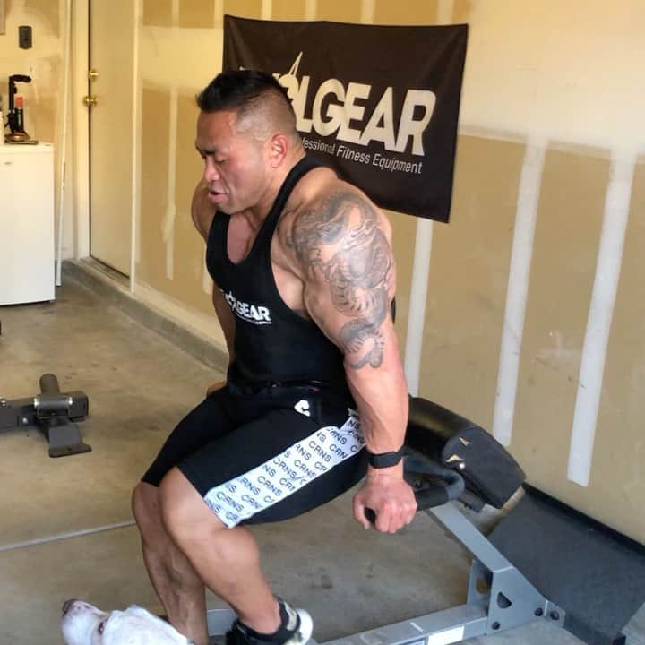 のインスタグラム：「Bench dips is one of my favorite triceps finisher. I like to fully extend my elbow and squeeze my triceps.  ベンチディップスは上腕三頭筋の最後にもってきて究極のパンプを狙う。肘が伸び切るまで伸ばす。  @evolgear @cronos_apparel @gaspari @cardilloweightbelts @bodicafe @the_phyzeeksmith」