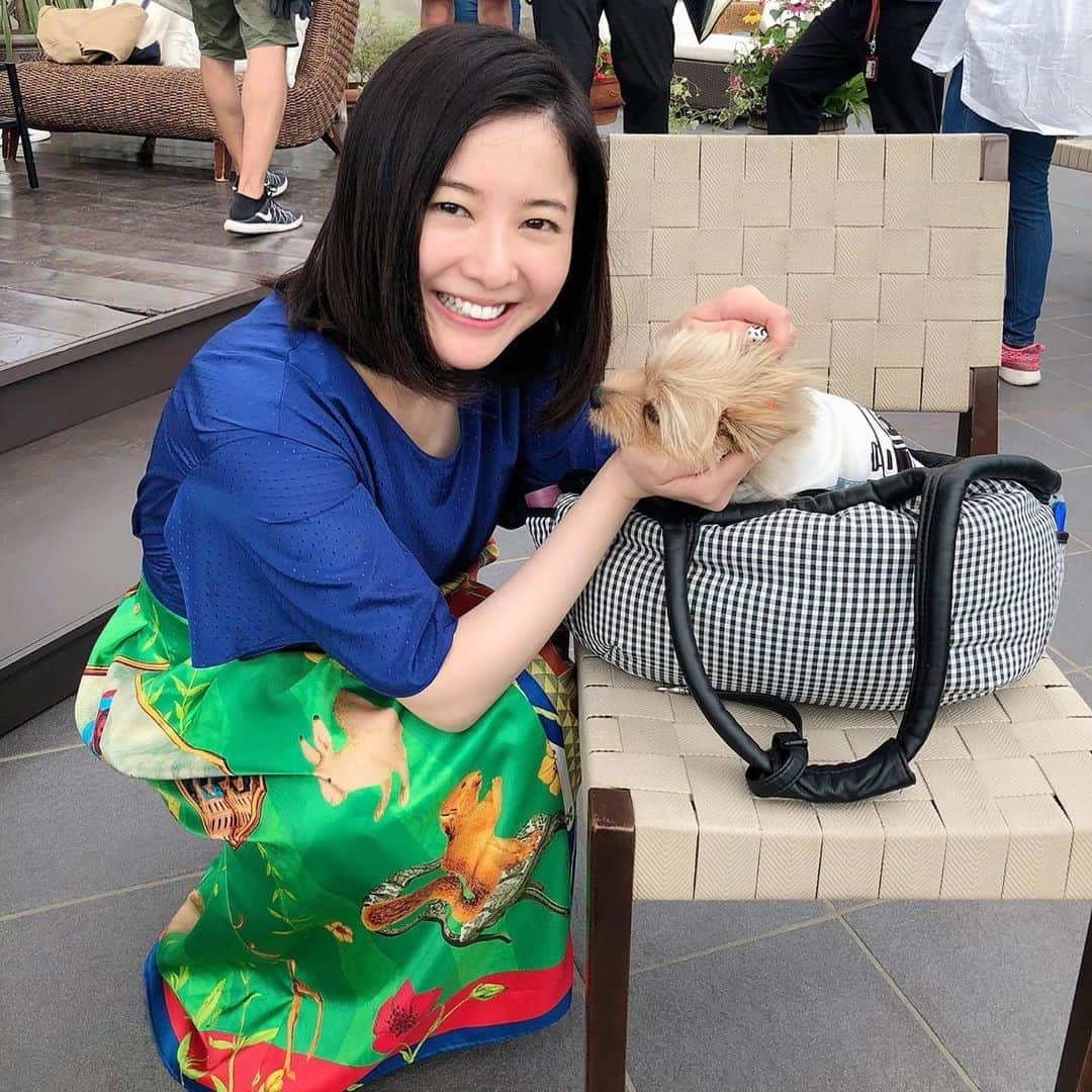 東京タラレバ娘さんのインスタグラム写真 - (東京タラレバ娘Instagram)「ワンコと倫子〜！今回のスペシャルで登場する激カワなワンコの「玉子ちゃん」です。名前も可愛すぎる！そして、こんな大人しいワンちゃん見たことないってくらい大人しくてとってもいい子でした。倫子もず〜っと戯れてワシャワシャ。スタッフもあまりの可愛さにメロメロになってました〜。 #タラレバ #東京タラレバ娘 #タラレバ2020 #東村アキコ #人間だったらめちゃくちゃおっとりさん #ワンちゃんにも性格があるんだなって #ハッキリと目の当たりにした気がします #動物飼ったことない公式ですら #玉子ちゃんなら飼いたいと思いました #それにしても #ワンちゃんにもすぐ懐かれる倫子さん #流石すぎる #吉高由里子 #榮倉奈々 #大島優子 #坂口健太郎 #鈴木亮平 #田中圭 #平岡祐太 #石川恋 #松下洸平 #渡辺大知」9月22日 12時04分 - tarareba_ntv