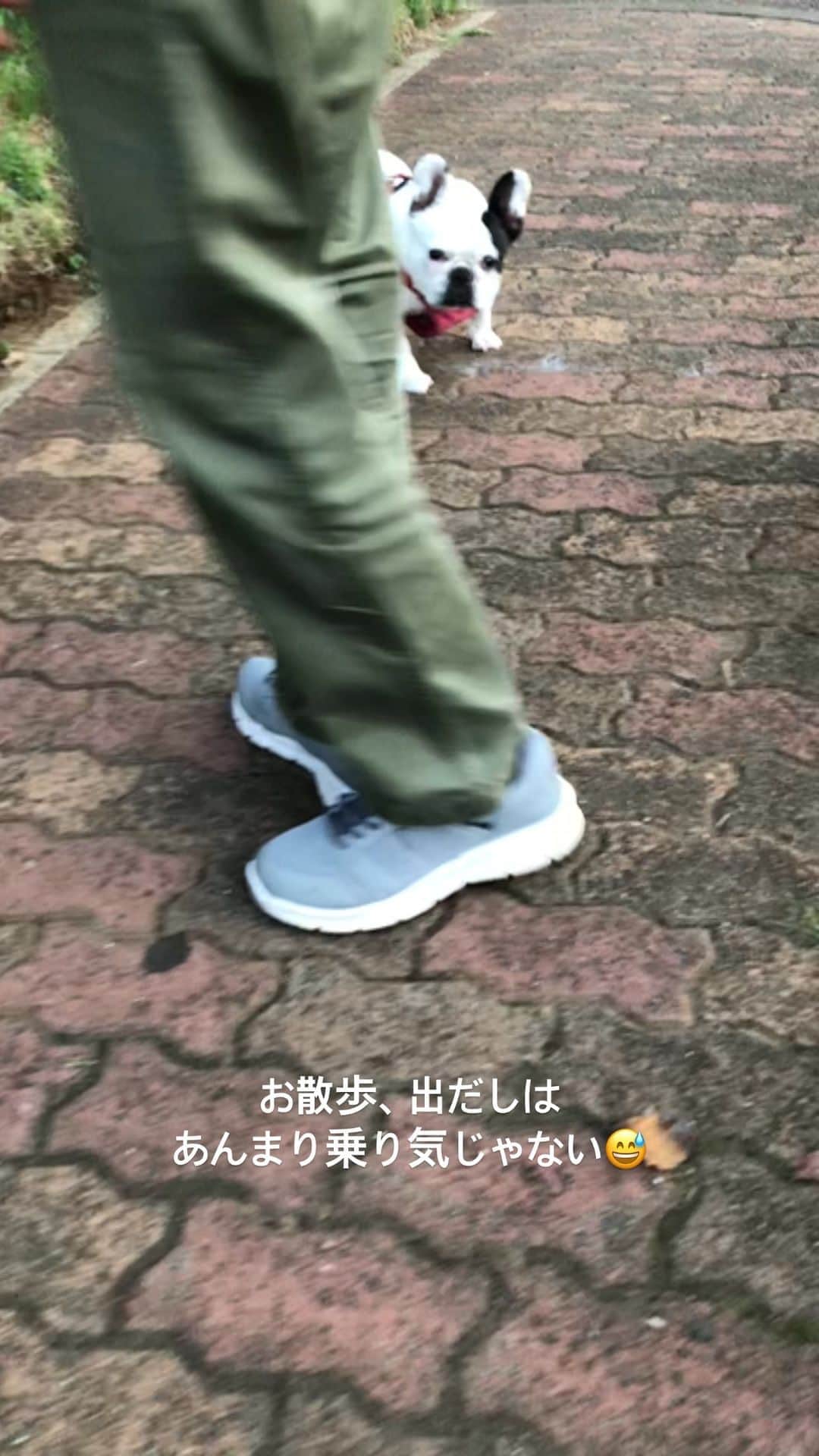 進藤やす子のインスタグラム