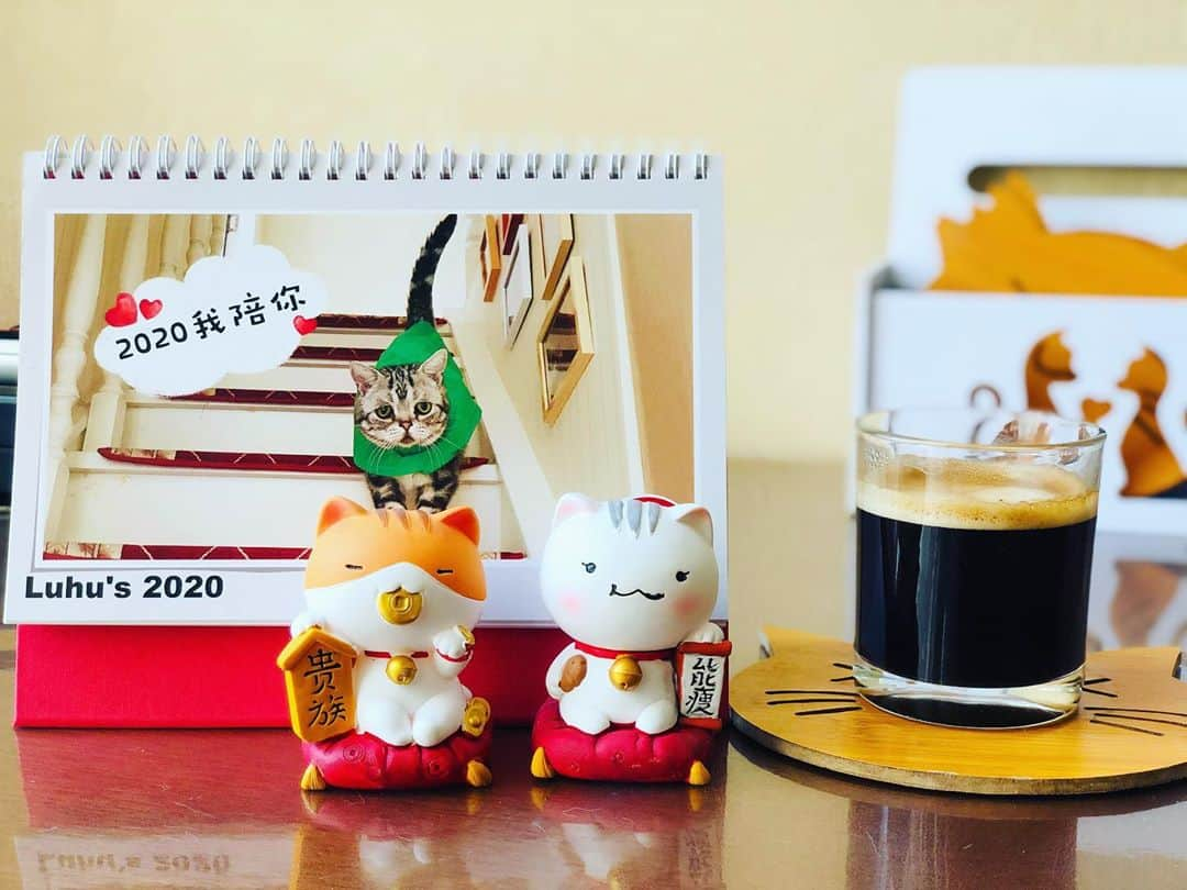 ルフさんのインスタグラム写真 - (ルフInstagram)「#luhu:”There are 100 days left until 2021 from today, What an unpeaceful 2020,i wish next year will be much better!” - - #cat #sadcat #angels #brothers #lovely #cute」9月22日 12時47分 - lanlan731