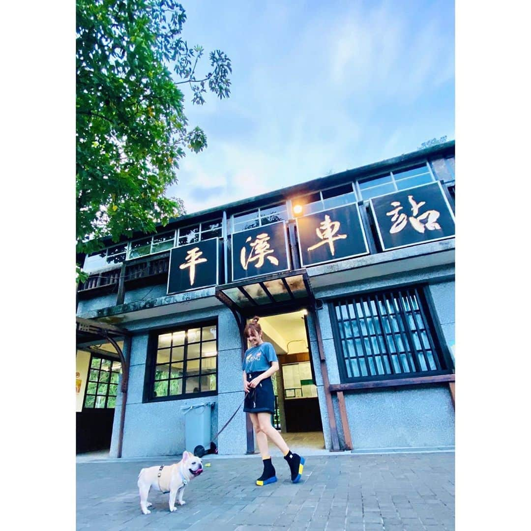 千田愛紗さんのインスタグラム写真 - (千田愛紗Instagram)「帶著Hana一日旅遊!!  走走台灣❤️  #frenchbulldog #taiwantravel #taiwan」9月22日 12時46分 - aisa1108