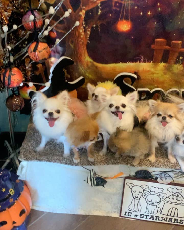 tetoyanyanのインスタグラム