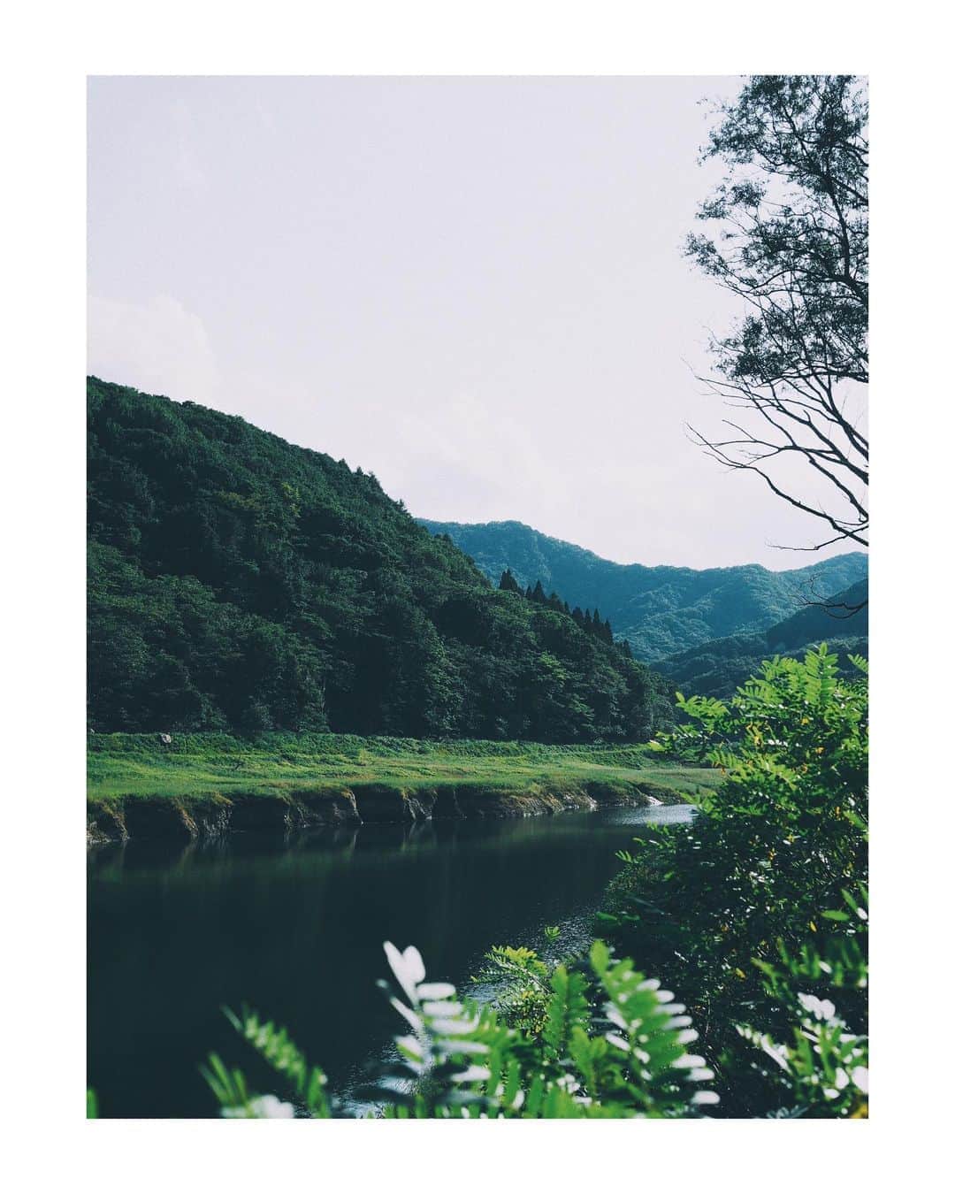 花楓さんのインスタグラム写真 - (花楓Instagram)「自然と温泉で充電完了。  旅先で奇跡の出会い。 GKデザインの創立者である 曽根さん御夫妻に出会い、 お宅にまでお招きして頂き、 まるで元旦のような温かい空気 に包まれた時間でした。  GKデザインの本を見せて頂き ながら、曽根さんの作った作品、 歴史を丁寧にお話しして下さい ました。  素敵過ぎたお家。 設計図から部屋の隅々まで 案内してくれました。  言葉にまとめるのが難しい くらい何かが私に落ちました。  貴重なお時間をありがとう ございました。  #曽根さんのピンクがイカし過ぎてる #コーディネート大好きです #曽根さんは #キッコーマンの醤油のデザインをされた方 #他にも説明しきれないほどの私達が知っているデザインを手がけてきた巨匠です #温かい人柄に終始泣きそうになっていた私(抑えるのに必死) #また逢いにゆきます」9月22日 13時45分 - _caede_