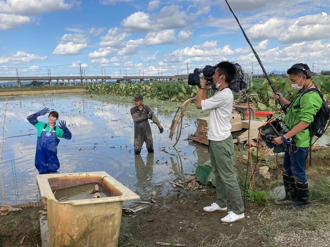 高井瑛子のインスタグラム：「. . 長岡市・中之島地域にあるレンコン畑へ。 . . レンコンは水深３０センチの中にあり 水圧を使いながら折らないように掘るんです。 . . 手さぐりで探すため中々レンコンを探すのが大変なんです。 . . さらに足元も取られるため歩きにくく 転ばないかヒヤヒヤ…。 . しかし、本番足元をとられてしまい、 じゃぱーんと大転倒！ . 体の下半分が大変なことに…。 . . レンコンの収穫の大変さを改めて思い知りました。 . . 頂いたレンコンできんぴらごぼうレンコン入りを作りました。 . 次はレンコン入りハンバーグを作る予定です！ . . レンコンの収穫は３月ごろまで続きます。 . . ながーーくレンコン楽しみたいです☺️✨ . . 写真はお世話になった レンコン生産農家の桑原さんご夫婦とです。 . . . ------------------------------------------ #新潟テレビ21 #アナウンサー #ux #テレビ #生中継 #ナマトク #レンコン #中之島 #特産品 #長岡市 #エノモト #きんぴらごぼう #シャキシャキレンコン #レンコンのしゃうゆ漬け #レンコンとキクラゲのピクルス」