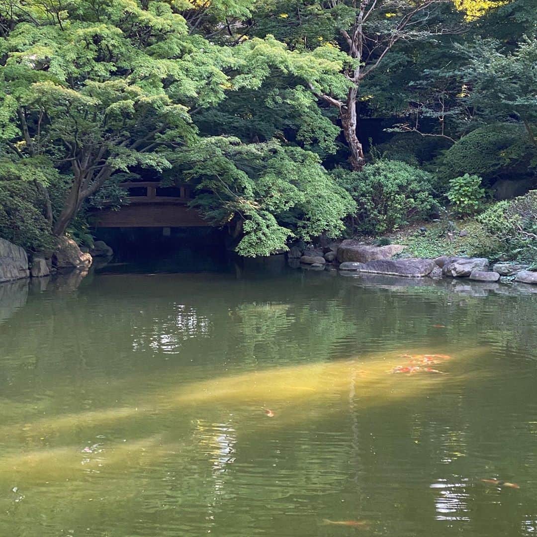 羽田沙織さんのインスタグラム写真 - (羽田沙織Instagram)「格子柄の床、眩いほどの緑、光に集まる鯉、タイルにランプにあらゆるもののフォルム。 どこを切り取っても美しかない。 ・ #art #artlover #東京都庭園美術館 #美術館 #美術館巡り #アート #アートのある暮らし  #アート好きな人と繋がりたい  #美しいものに囲まれたい #美しいもの #artdevivre」9月22日 14時41分 - saorihada