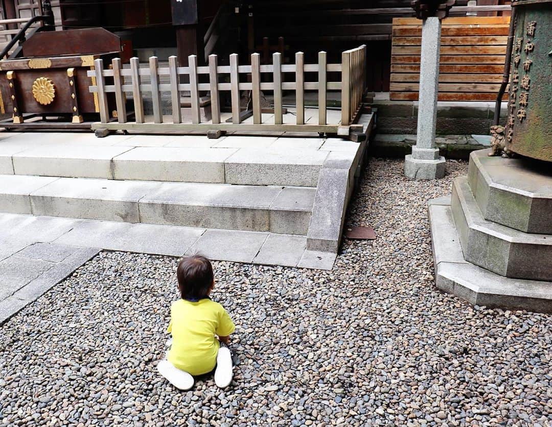 Momoeのインスタグラム：「神社でハイハイする人いない。笑 . .  #happy #家事 #育児 #family #家族 #boy #smile #男の子 #息子 #code #love #lucky #kids #子供 #thankyou #宝物 #ベビー #fashion #follow #心 #縁 #パパ #ママ #家族写真 #男の子ママ #赤ちゃん」