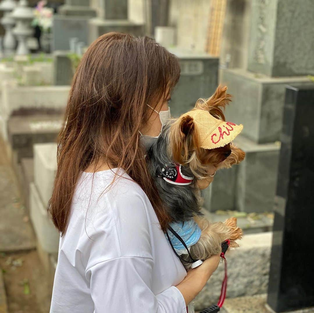 富士川碧砂のインスタグラム