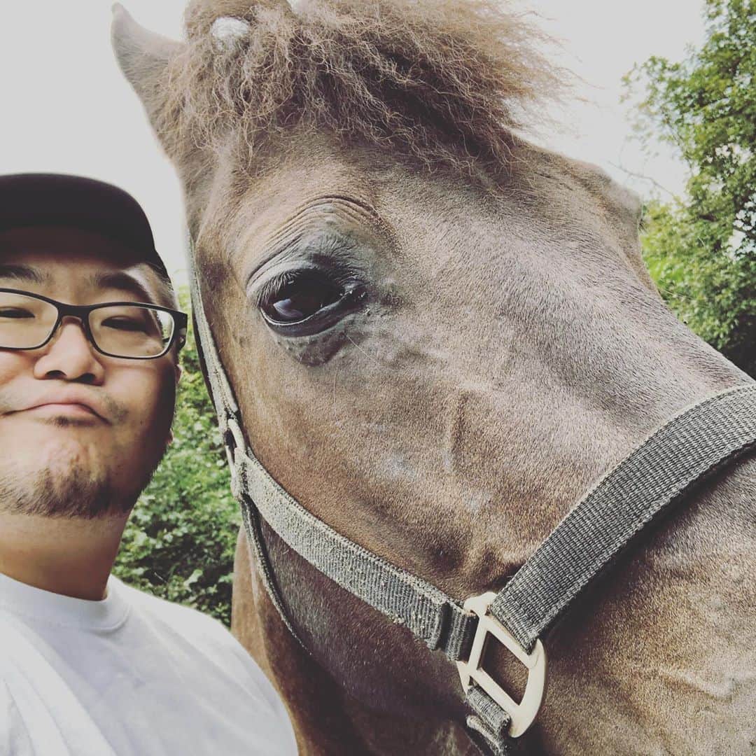 三浦崇宏さんのインスタグラム写真 - (三浦崇宏Instagram)「#馬 #horse  #sapporo  #札幌 #instagood  #インスタグラムといえば馬フィーと聞いて」9月22日 15時58分 - takahiro3ura
