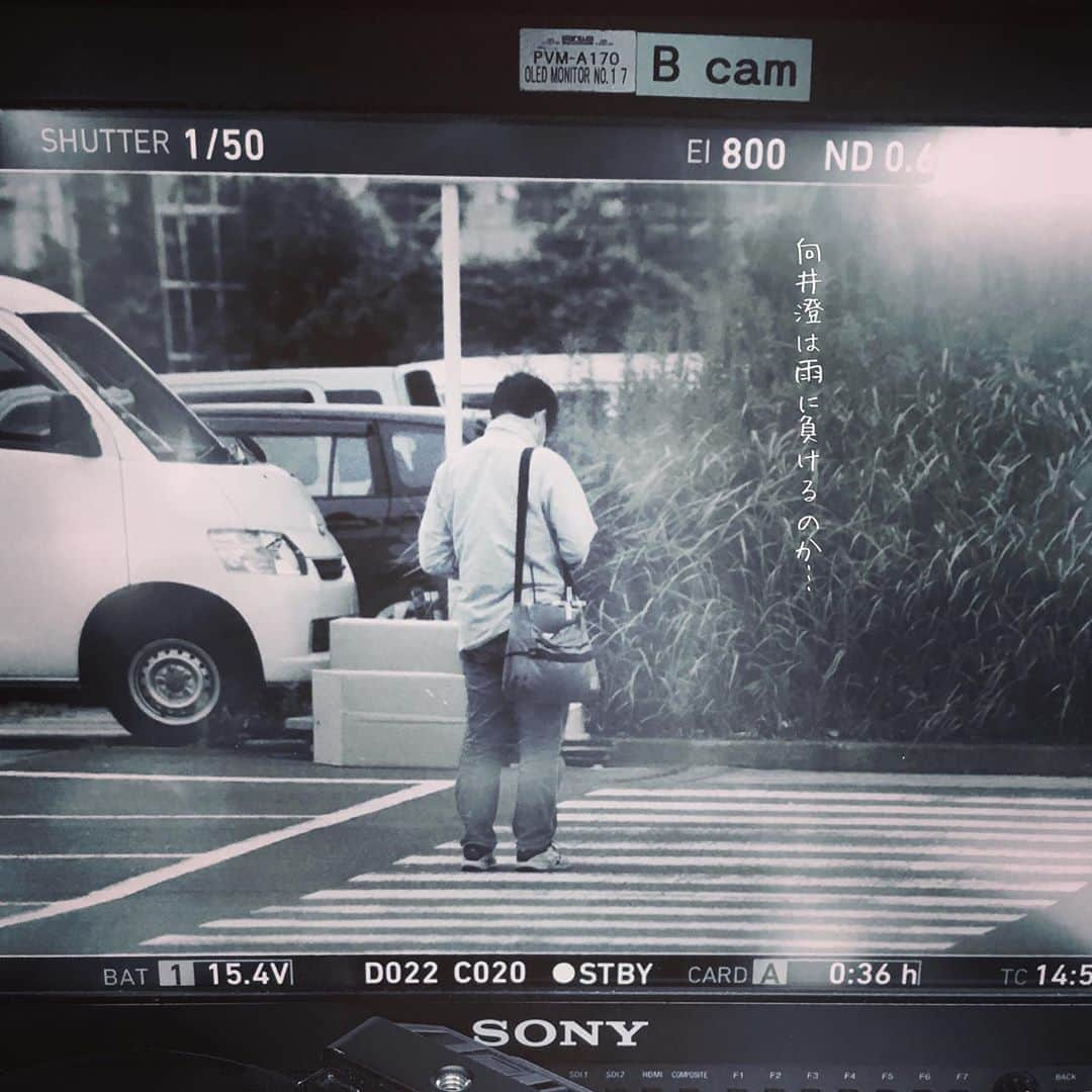 木村ひさしさんのインスタグラム写真 - (木村ひさしInstagram)「今日の向井くん2020秋 雨にも負ける #今日の向井くん2020秋」9月22日 16時27分 - kimura.hisashi