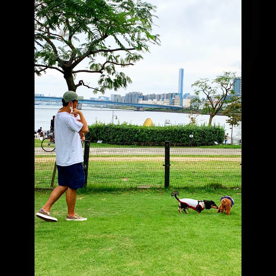 土佐卓也さんのインスタグラム写真 - (土佐卓也Instagram)「今日の家族写真 「go with the dog!!」 卓也  #土佐兄弟 #家族写真 #抱いているのは次女 #コタロー  #ドッグラン  #ミニチュアダックスフンド  #わんこ  #いぬすたぐらむ  #supreme #木村拓哉 さん #リスペクト #キムタク #takuyakimura  #キムタクInstagram考察 #リールに毎日更新中 #staysafe  #staypositive」9月22日 16時27分 - takuyatosa1