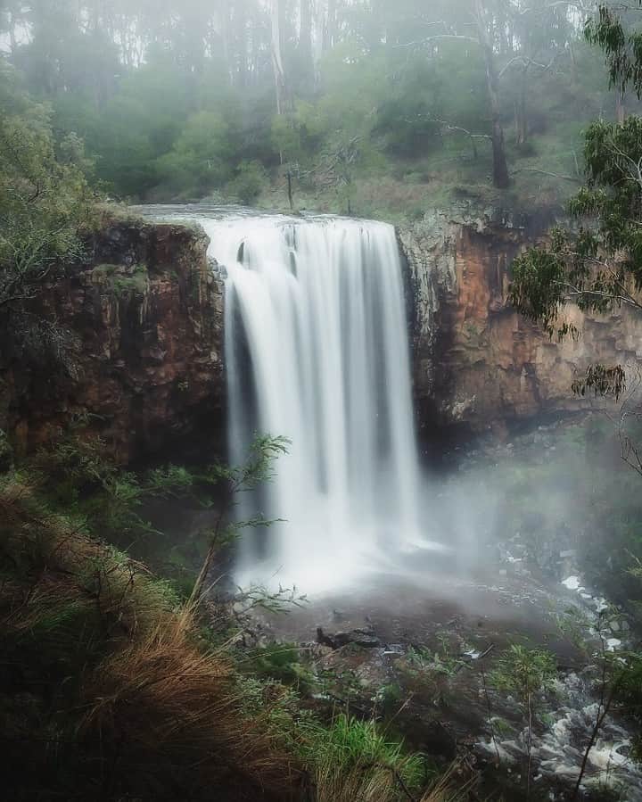 Nikon Australiaさんのインスタグラム写真 - (Nikon AustraliaInstagram)「"This is one of my favourite locations to visit in winter. I always remember to pack extra lens wipes, the power of the waterfall gives off a strong spray!  However, this image was taken at the top of the walking track and gives you a beautiful scene to admire. I was able to take this on foot without a tripod - lucky I’ve got steady hands." - @patricksflicks   Camera: Nikon D810 Lens: AF-S NIKKOR 18-35MM F/3.5-4.5G ED Settings: f/4  1/4s  ISO 400  #Nikon #MyNikonLife #NikonAustralia #LandscapePhotography」9月22日 16時30分 - nikonaustralia