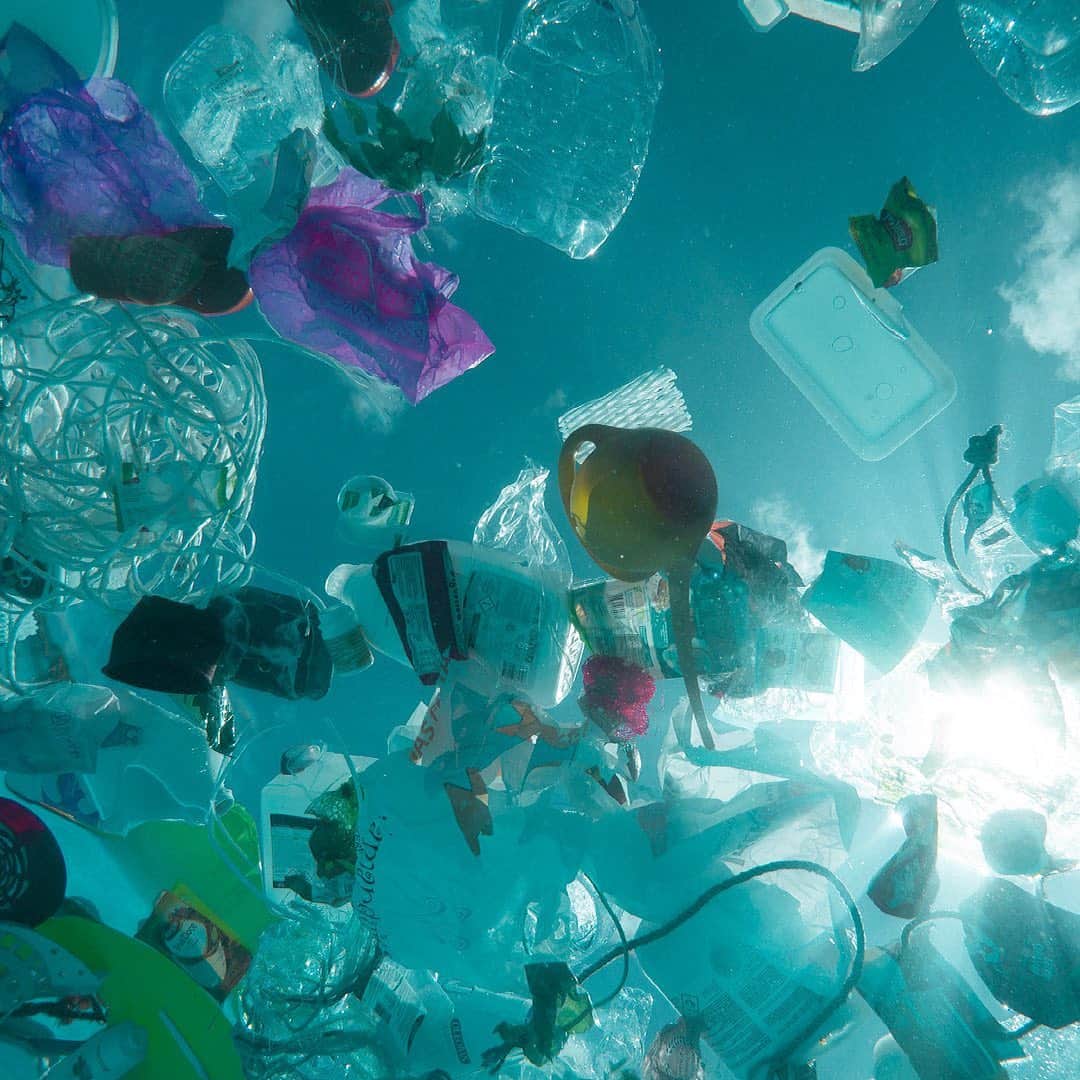 TRIWAさんのインスタグラム写真 - (TRIWAInstagram)「How does plastic get into the ocean? The bottom line is us. Whether we mean to litter or not, there's always a chance the plastic we throw away could make it into the sea, and from there who knows? Maybe as far as the Arctic.  ⠀⠀⠀⠀⠀⠀⠀⠀⠀ Big changes start with small steps and we all have the power to make a difference. We make watches out of recycled ocean plastic. What will you do to start cutting the plastic in your life?  ⠀⠀⠀⠀⠀⠀⠀⠀⠀ #ocean #oceans #surf #story #recycled #fashion #accessory #ethicalfashion #recycledplastic #recycling #watch #watches #watchesofinstagram #consciousfashion #plasticfreeoceans #cleanoceans」9月22日 16時45分 - triwa