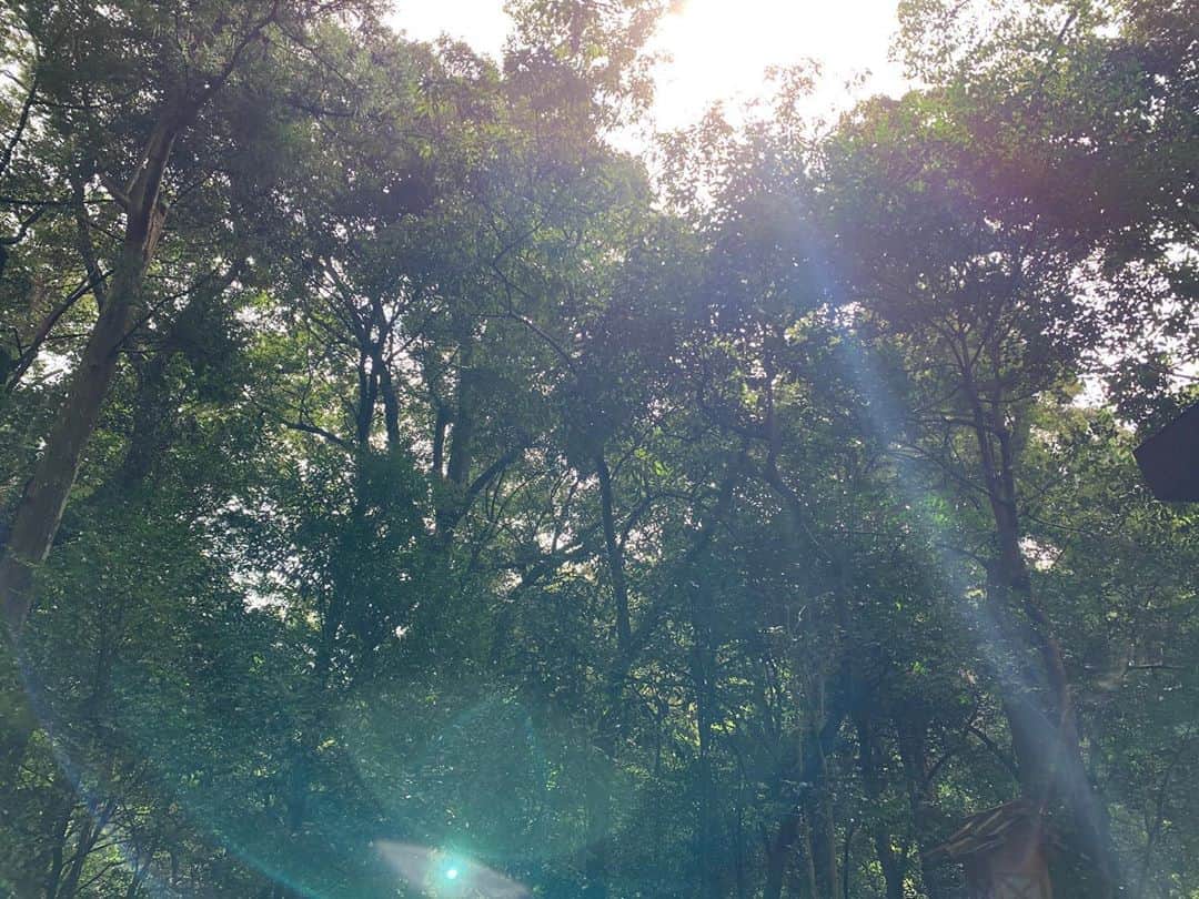 のインスタグラム：「お誕生日はお伊勢参りに行ってきました✨ 鳥居をくぐった瞬間がらっと空気が変わる感じがするの！ 外宮の参道はとくに好きなスポット✨ 高波動な写真が撮れたのでお裾分けします🥰 #伊勢神宮#お伊勢参り #神社#神主#神職#お盆 #神社好き#神社巡り#神社好きな人と繋がりたい #寺社仏閣#着物#女性神職 #神主アイドル #japaneseculture  #shrine #jinjya #tokyo #kimono #lovejapan #기모노 #instajapan  #followmeplease」