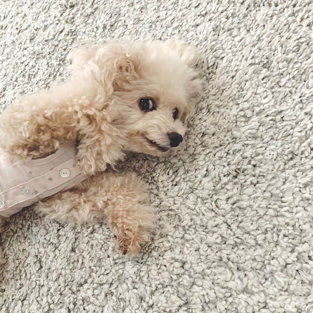 mizuのインスタグラム：「ちらっ」